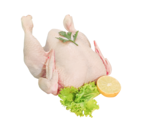 Fresh Full Chicken