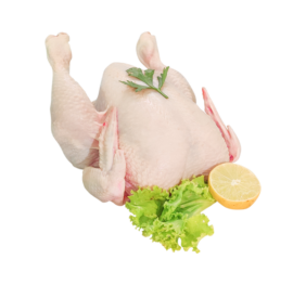 Fresh Full Chicken